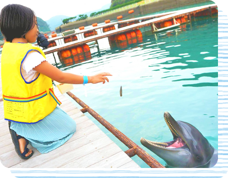 Photo of Iki Dolphin Park