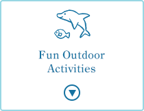 Click here for Activities