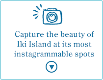 Click here for Scenic Tourist Spots