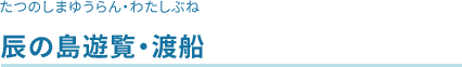 辰の島遊覧・渡船
