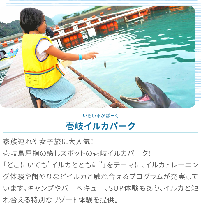 アクティビティ