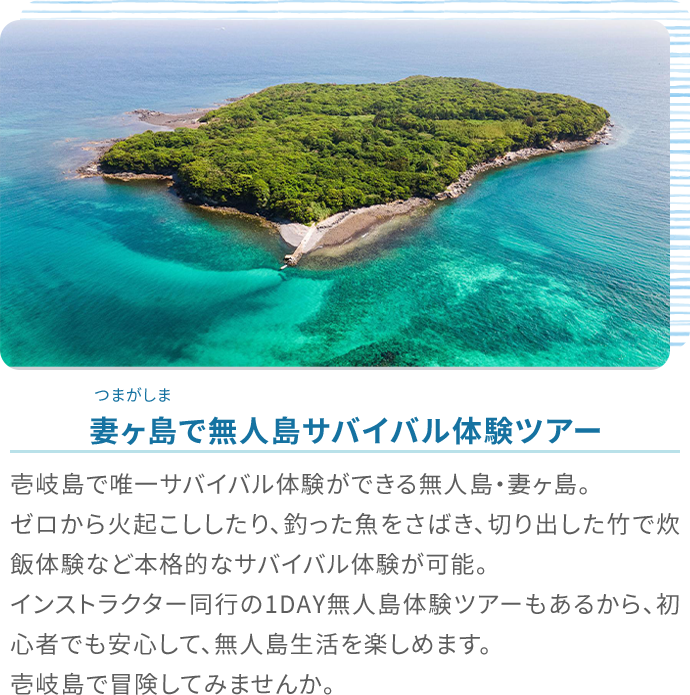 アクティビティ